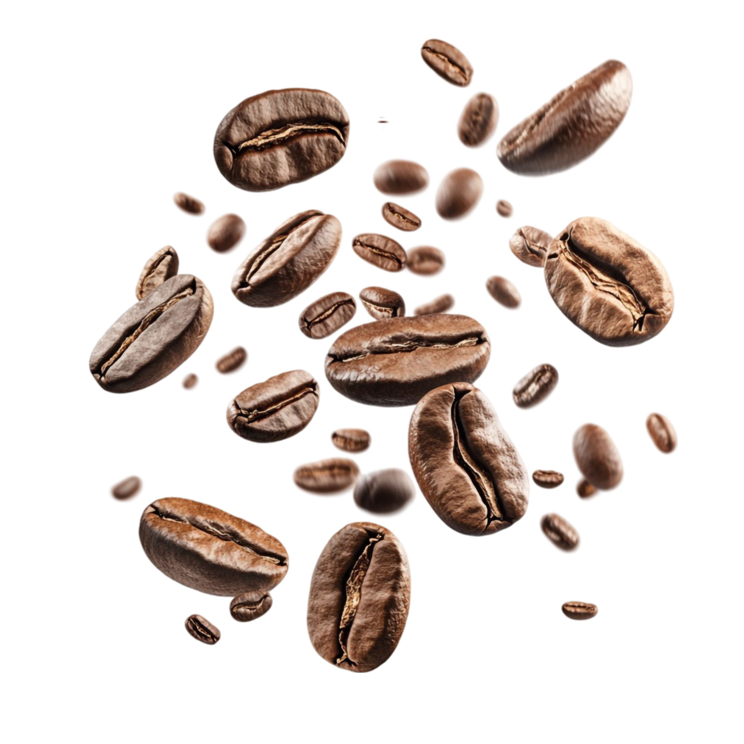 Premium Macadamia Nuts